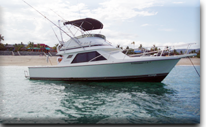 Bertram 31 ft Ursulas Fishing Fleet Cabo San Lucas